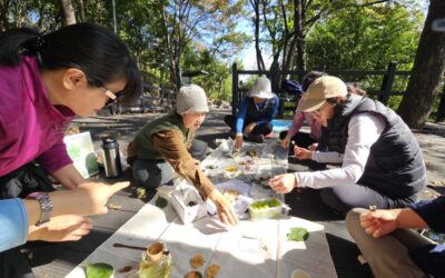[회원모임] 10월의 바람과 함께하는 ‘숲치유’ 강물회원 후기