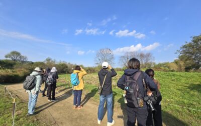 [회원소식] 10월의 상강 절기에 만난, 탐조클럽 ‘와조’ 활동