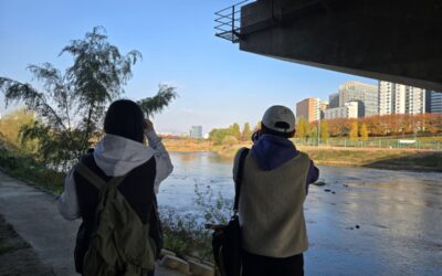 [회원모임] 11월의 탐조, 탐조클럽‘와조(鳥’) 활동 후기