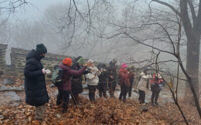 [녹색시민교육] 손종례작가님과 함께한  ‘겨울, 눈을 만나는 시간’ 특강 마무리