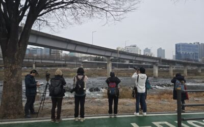 [회원모임] 12월의 탐조클럽 ‘와조’ 활동 후기